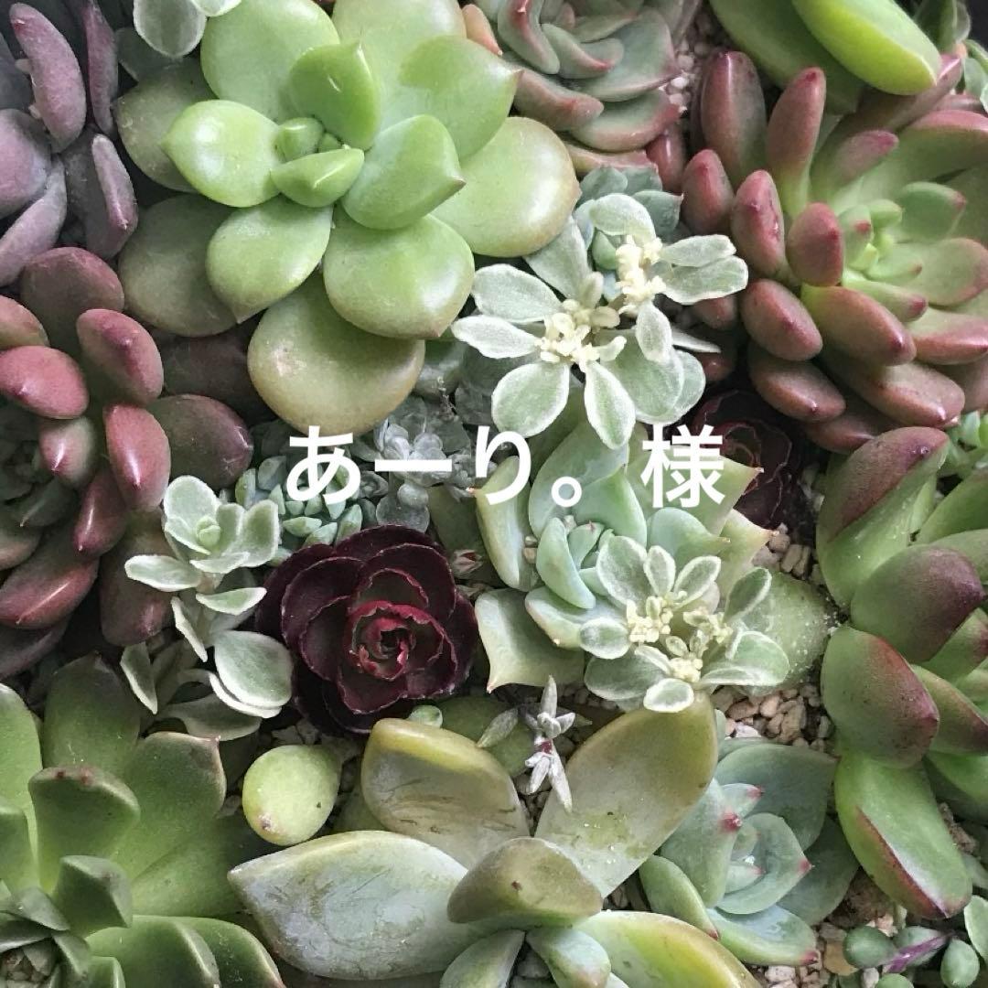 くまさん　モルタル造形