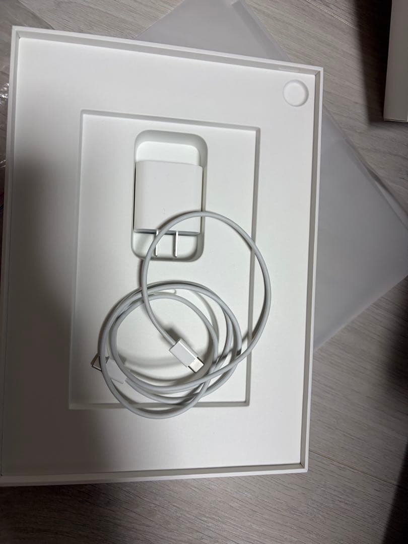 iPadPro11インチ 第1世代 256GB Wi-Fi+Cellular