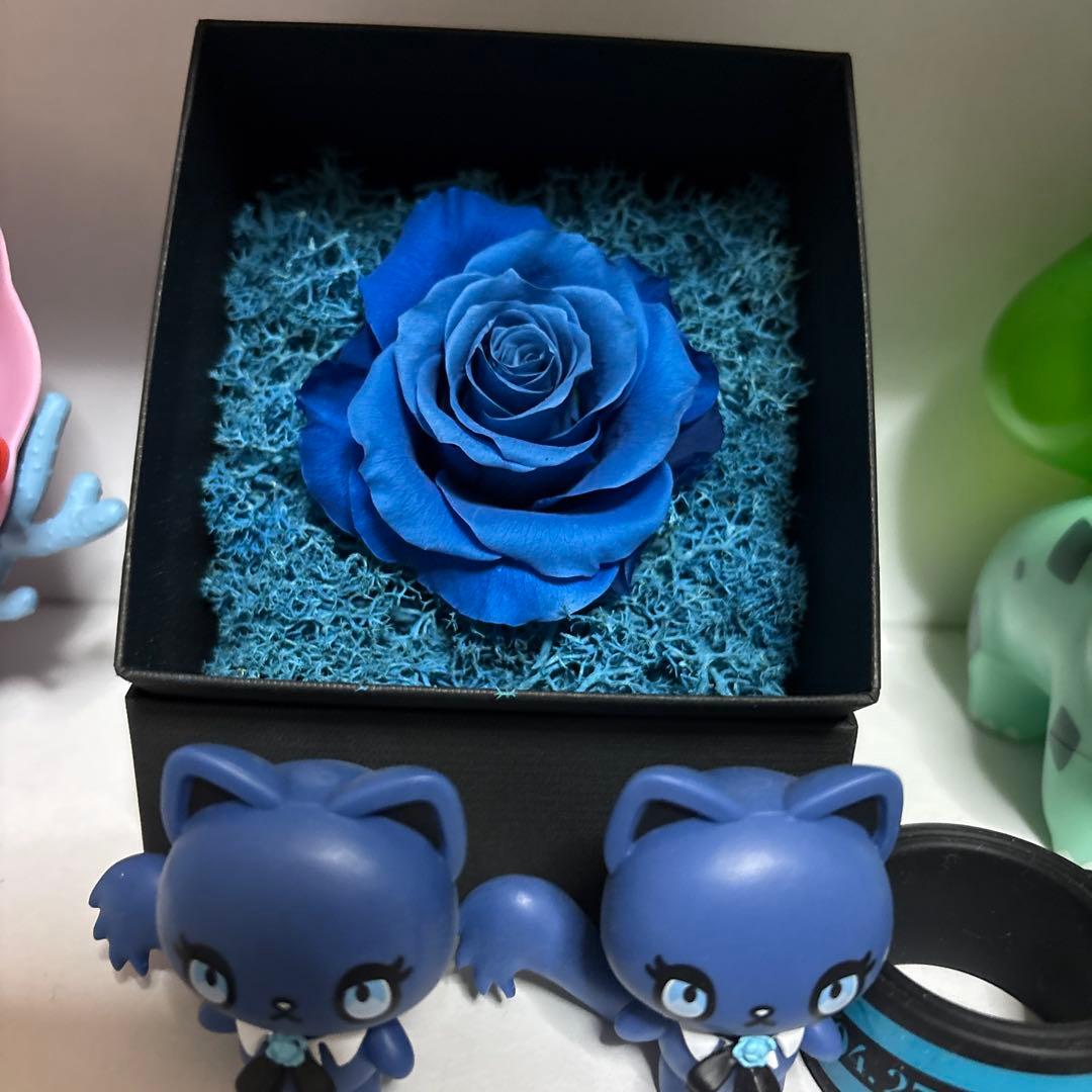 Ado 国立公演　VIP特典