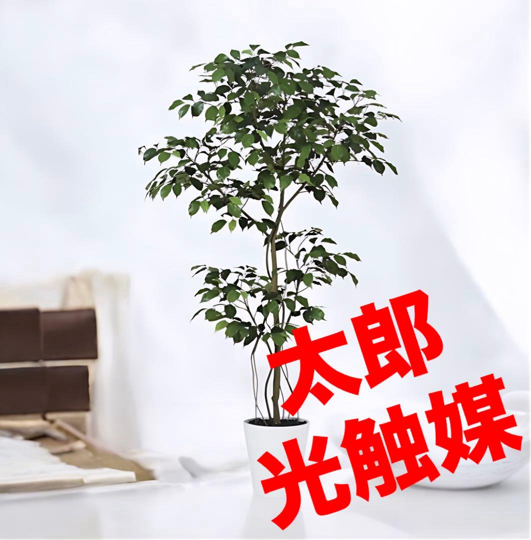 光触媒　人工観葉植物　フェイクグリーン　ベンジャミン150FST