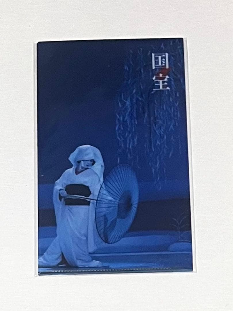 国宝　チケットホルダー　国宝展　吉沢亮　横浜流星　ファイル　鷺娘