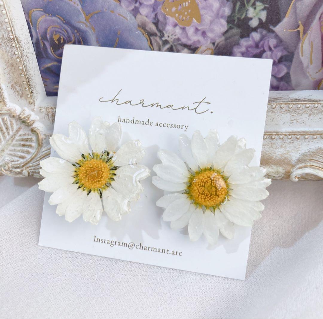 ビオラピアス❁¨̮