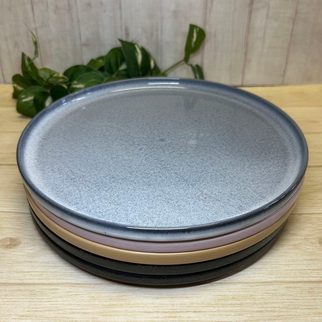 釉変わり23cm浅口切立皿(5枚)