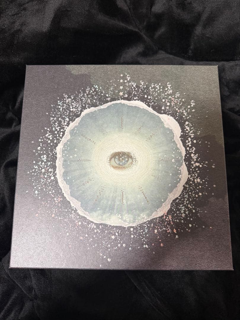 Siip / ガイア【完全生産限定盤】　GOODS　ダウンロードカード‪なし