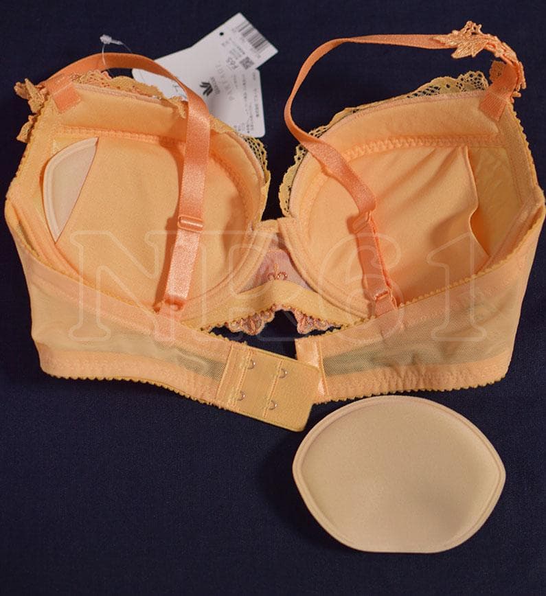 F65Mセット　リボンブラ　パルファージュ　３５ｇ