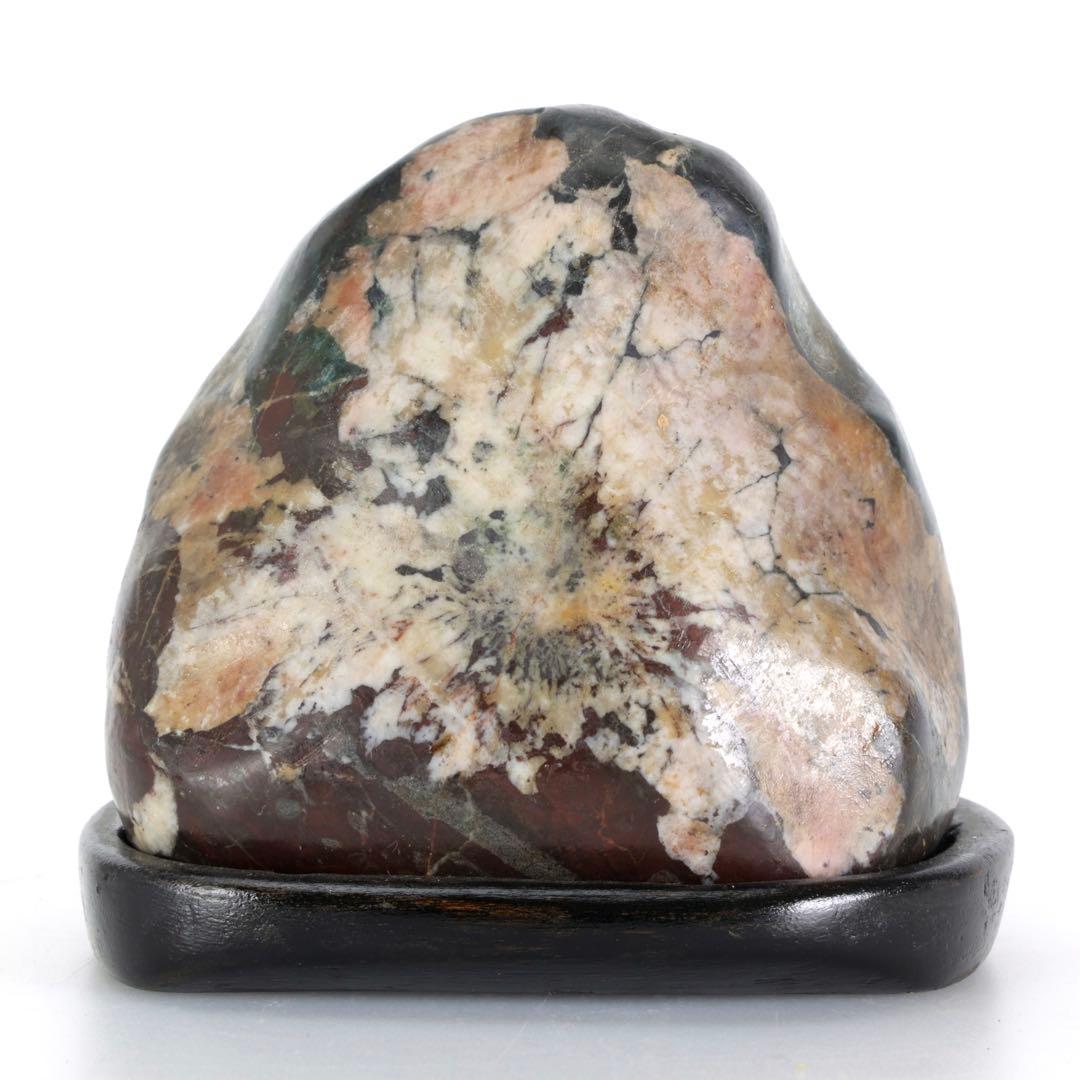 菊花石 菊紋石 紋石 台座付 635g 鑑賞石 原石 自然石 美石 小品盆栽