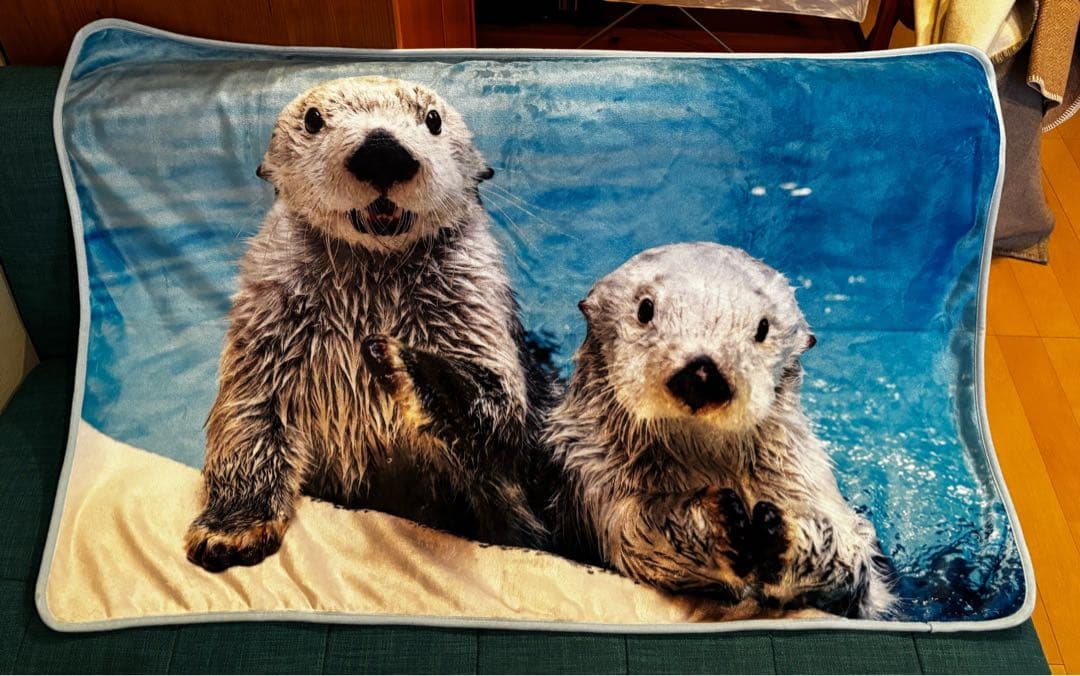 鳥羽水族館　ラッコメモリアルBOOK &ブランケット