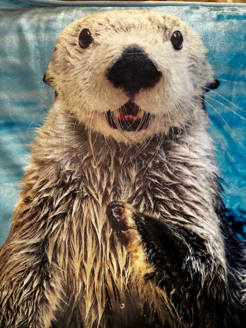 鳥羽水族館　ラッコメモリアルBOOK &ブランケット