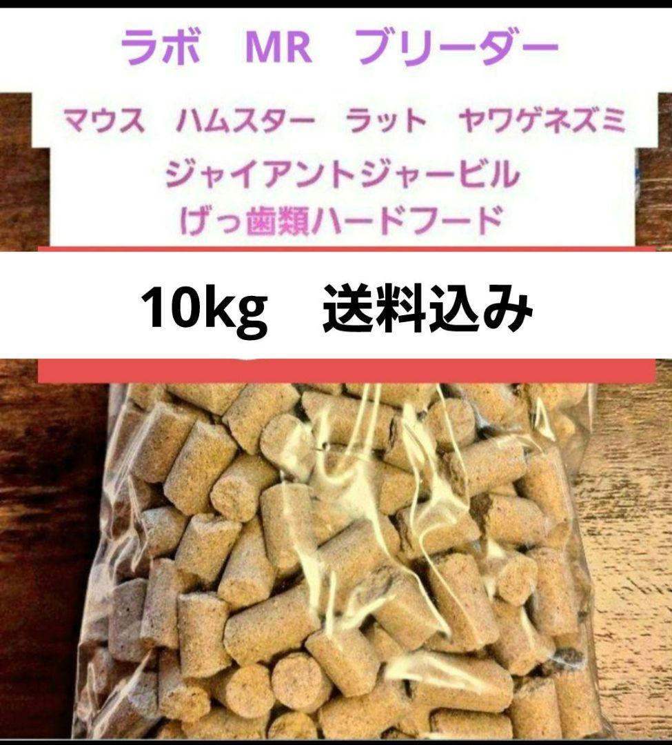 ラット　マウス　ハムスター等ハードフード10kg送料込み