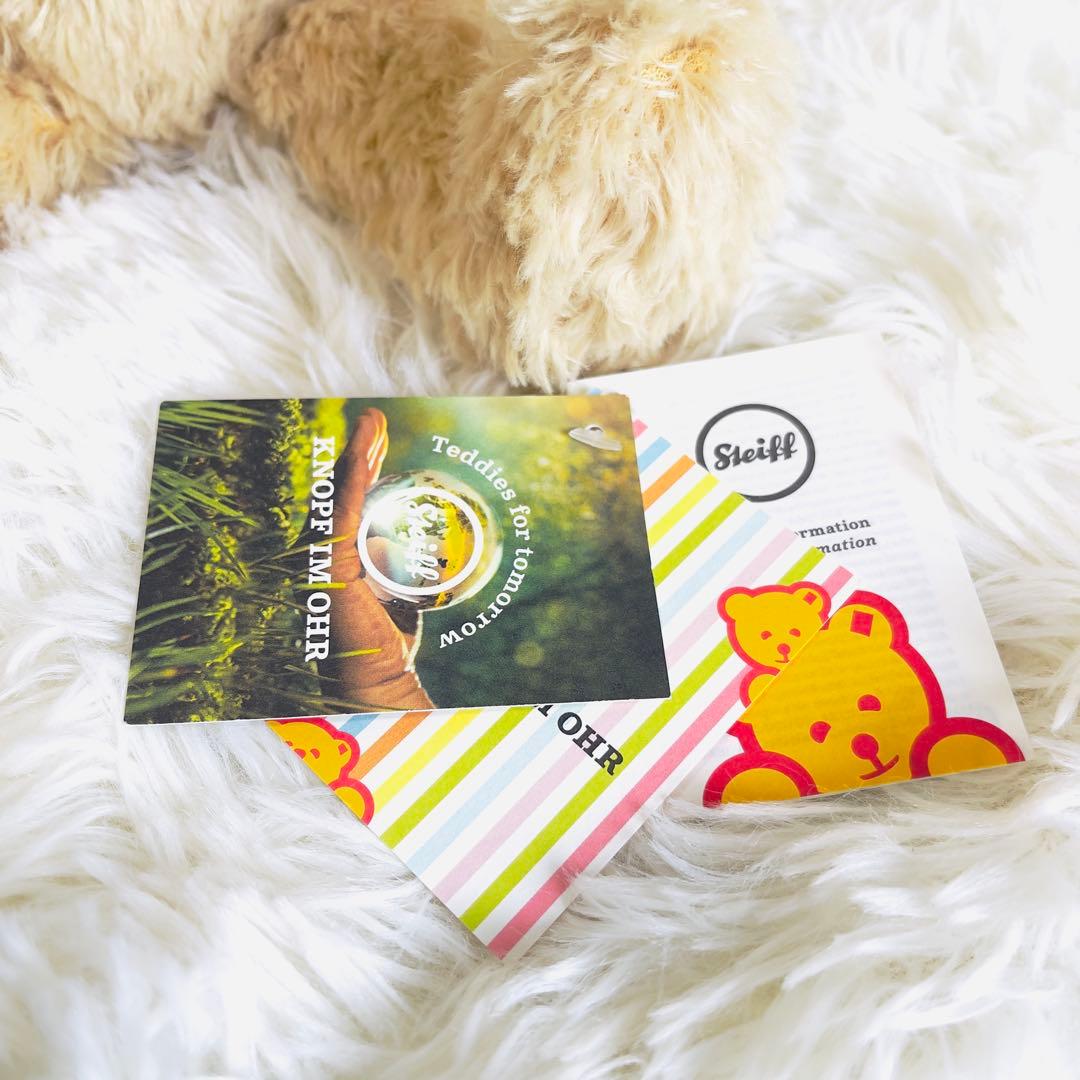 【新品タグ付き】Steiff シュタイフ 明日のためのテディ アントン 30cm