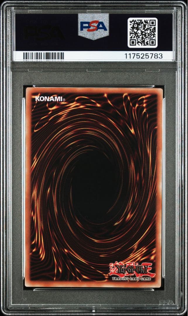 す*️様 DRAGON OF ILLUMINATION psa10 日本選手権