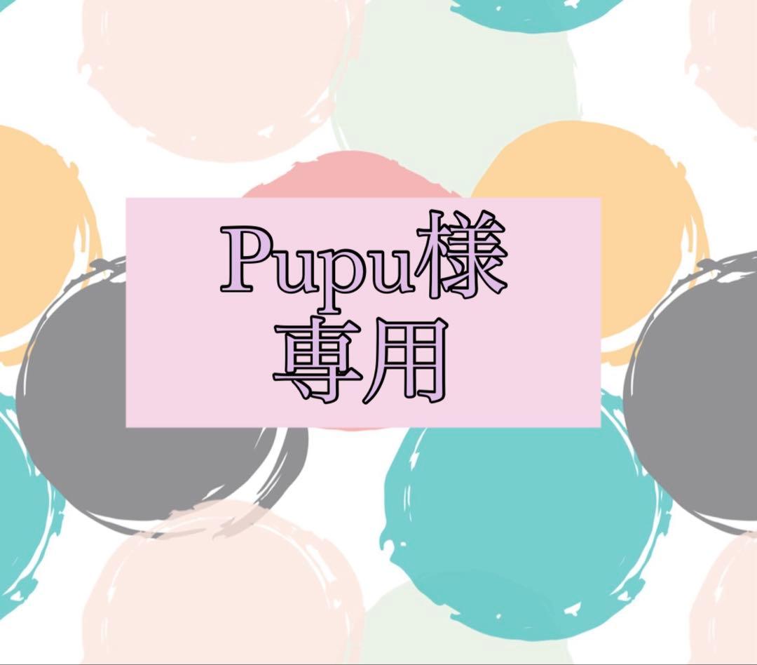 その他 pupu