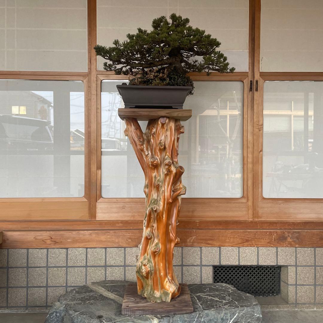 【銘木】盆栽用スタンド 高さ(約)75cm ハンドメイド 一品物 レア物 珍品