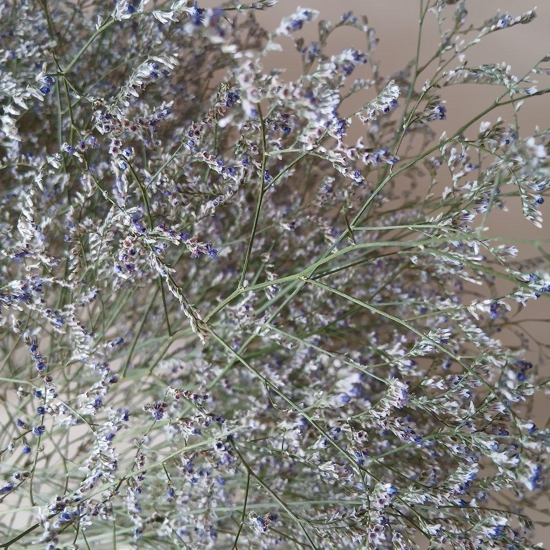 専用商品　確認用　ブルーファンタジア　ドライフラワー