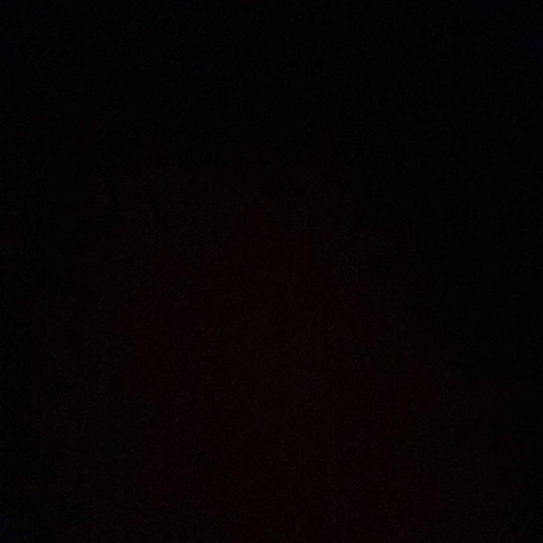 Kyan2さん専用　Totoro