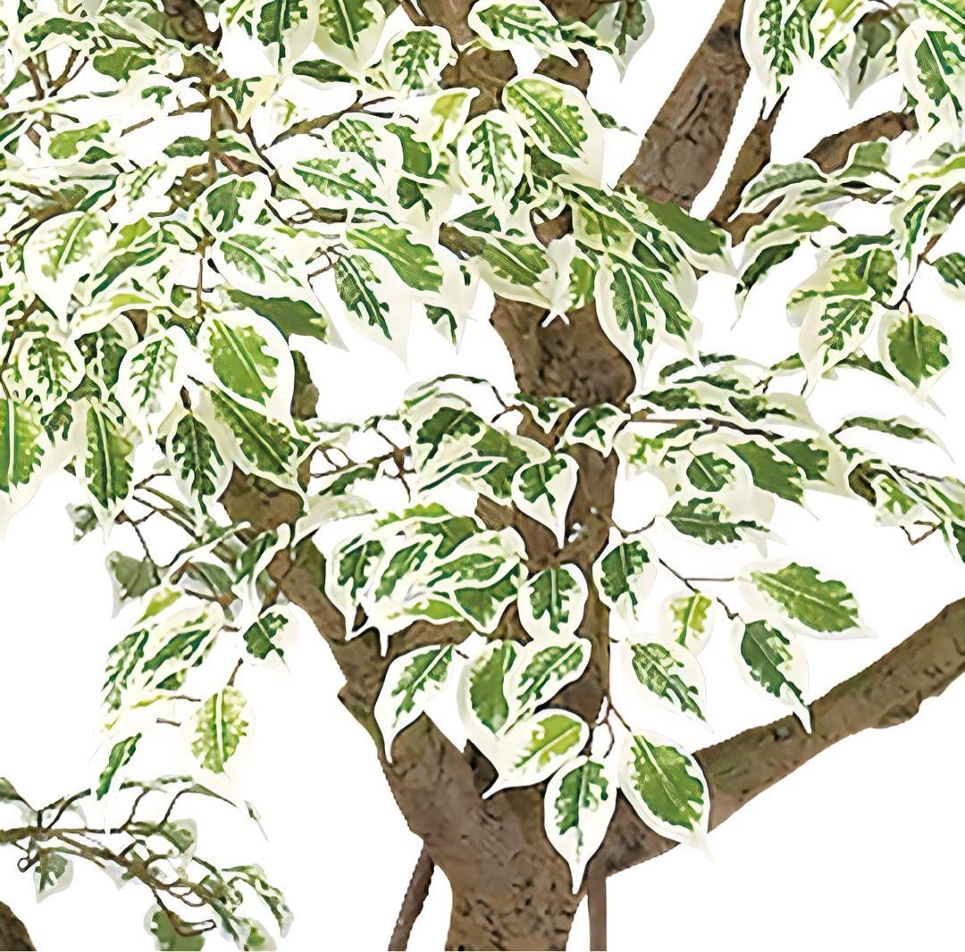 光触媒　人工観葉植物　フェイクグリーン　ベンジャミナスターライトコアッド鉢付き