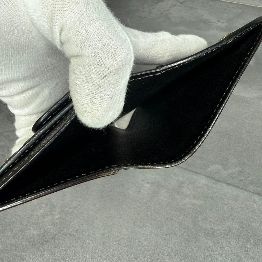 【限定品】ワイルドスワンズ CASA カーサ シェルコードバン ホーウィン社