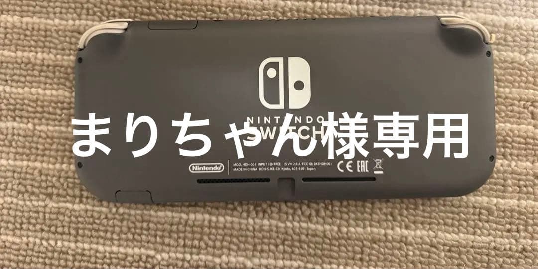 Nintendo Switch Lite グレー 本体 充電器
